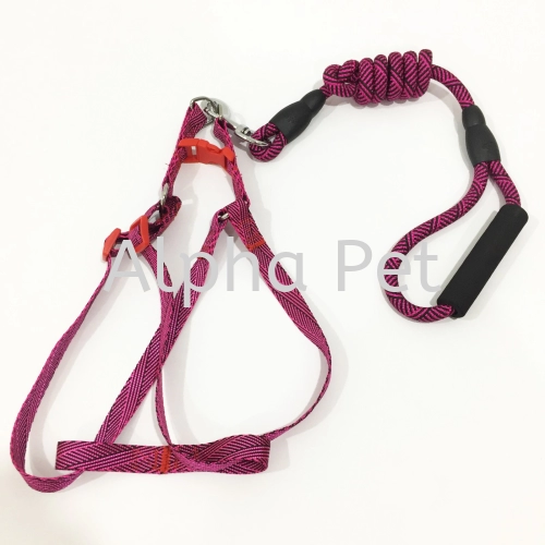 Leash W. Harness (Y061)