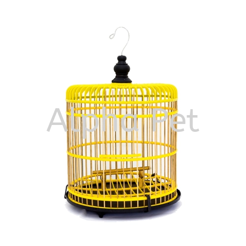 Bird Cage (1311)