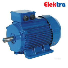 Elektra Motor Elektra Motor Malaysia, Perak Supplier, Suppliers, Supply, Supplies | WEGTECH SDN BHD