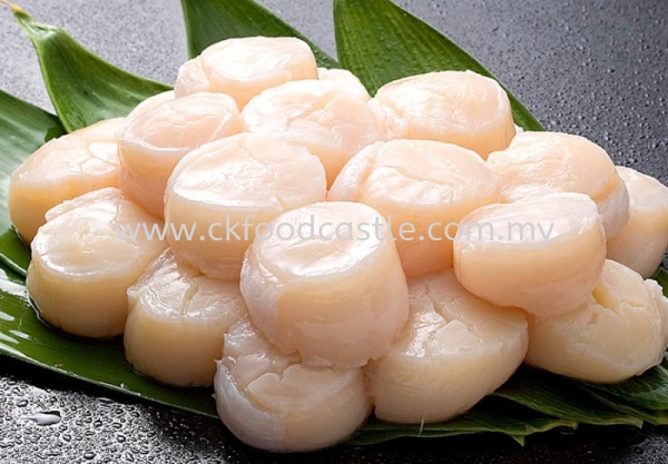 Dried Scallops Marine Products Johor Bahru (JB), Malaysia Supplier, Wholesaler, Supply, Supplies | CK FOOD CASTLE ENTERPRISE