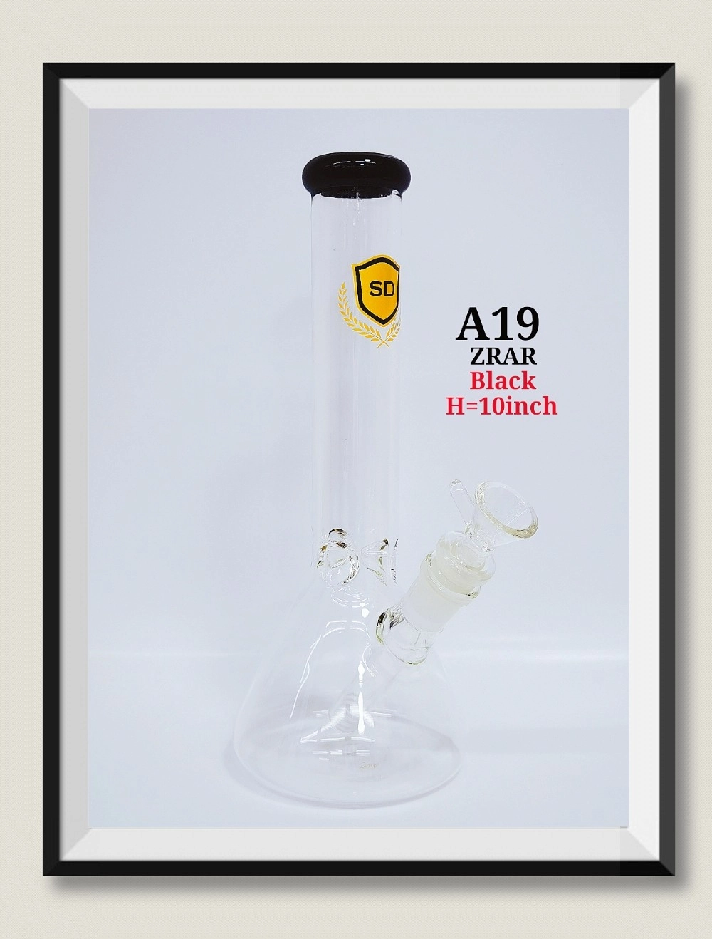 A19