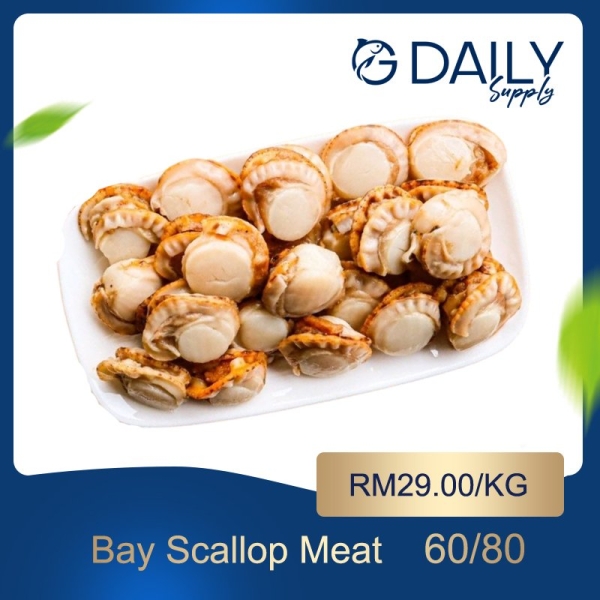 Bay Scallop Meat Scallop / Squid / Shell Seafood Selangor, Malaysia, Kuala Lumpur (KL), Batu Caves Supplier, Suppliers, Supply, Supplies | G DAILY SUPPLY SDN BHD