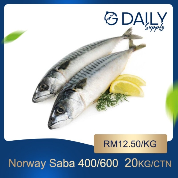 Norway Saba Fish Fish Selangor, Malaysia, Kuala Lumpur (KL), Batu Caves Supplier, Suppliers, Supply, Supplies | G DAILY SUPPLY SDN BHD