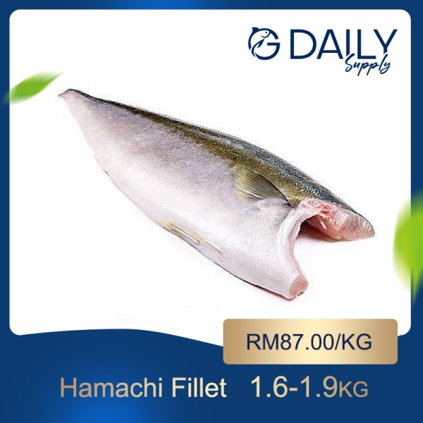 Hamachi Fillet (Japan) Fish Selangor, Malaysia, Kuala Lumpur (KL), Batu Caves Supplier, Suppliers, Supply, Supplies | G DAILY SUPPLY SDN BHD