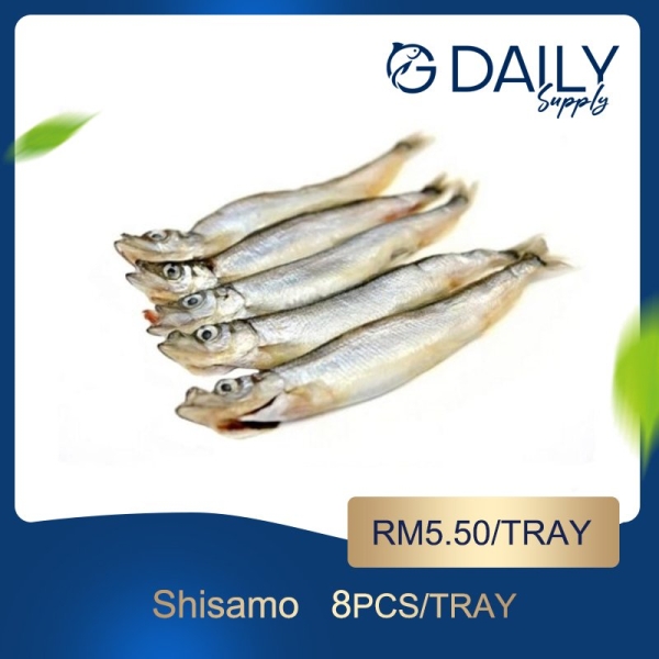 Shishamo Japanese Item Selangor, Malaysia, Kuala Lumpur (KL), Batu Caves Supplier, Suppliers, Supply, Supplies | G DAILY SUPPLY SDN BHD