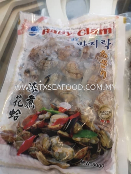 20/30 ASARI CLAM FROZEN SHELL Selangor, Klang, Malaysia, Kuala Lumpur (KL) Supplier, Suppliers, Supply, Supplies | TX SEAFOOD SDN. BHD.