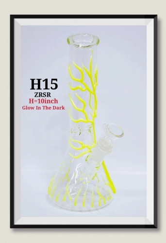 H15