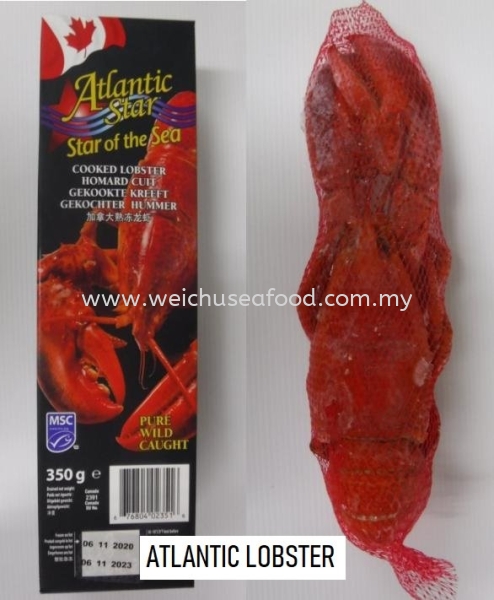 Atlantic Lobster Frozen Lobster Selangor, Malaysia, Kuala Lumpur (KL), Klang Supplier, Suppliers, Supply, Supplies | Wei Chu Seafood Supply Trading Sdn Bhd
