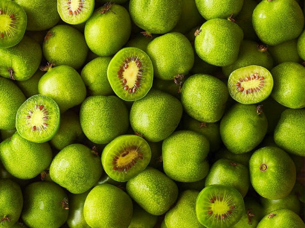KIWIBERRY BERRIES FRUITS Malaysia, Penang Wholesaler, Supplier | CHIAP SHENG FRUITS SDN. BHD.