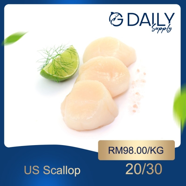 US Scallop Scallop / Squid / Shell Seafood Selangor, Malaysia, Kuala Lumpur (KL), Batu Caves Supplier, Suppliers, Supply, Supplies | G DAILY SUPPLY SDN BHD