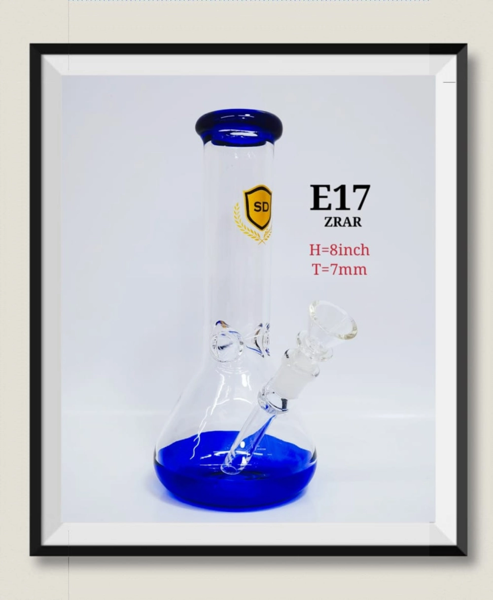 E17