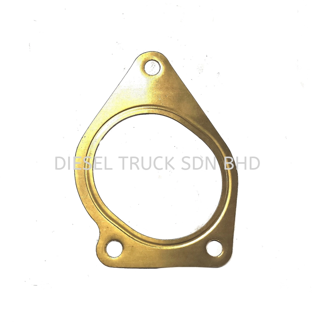  WATER PUMP PIPE GASKET (FM12) 3 HOLE 8170515