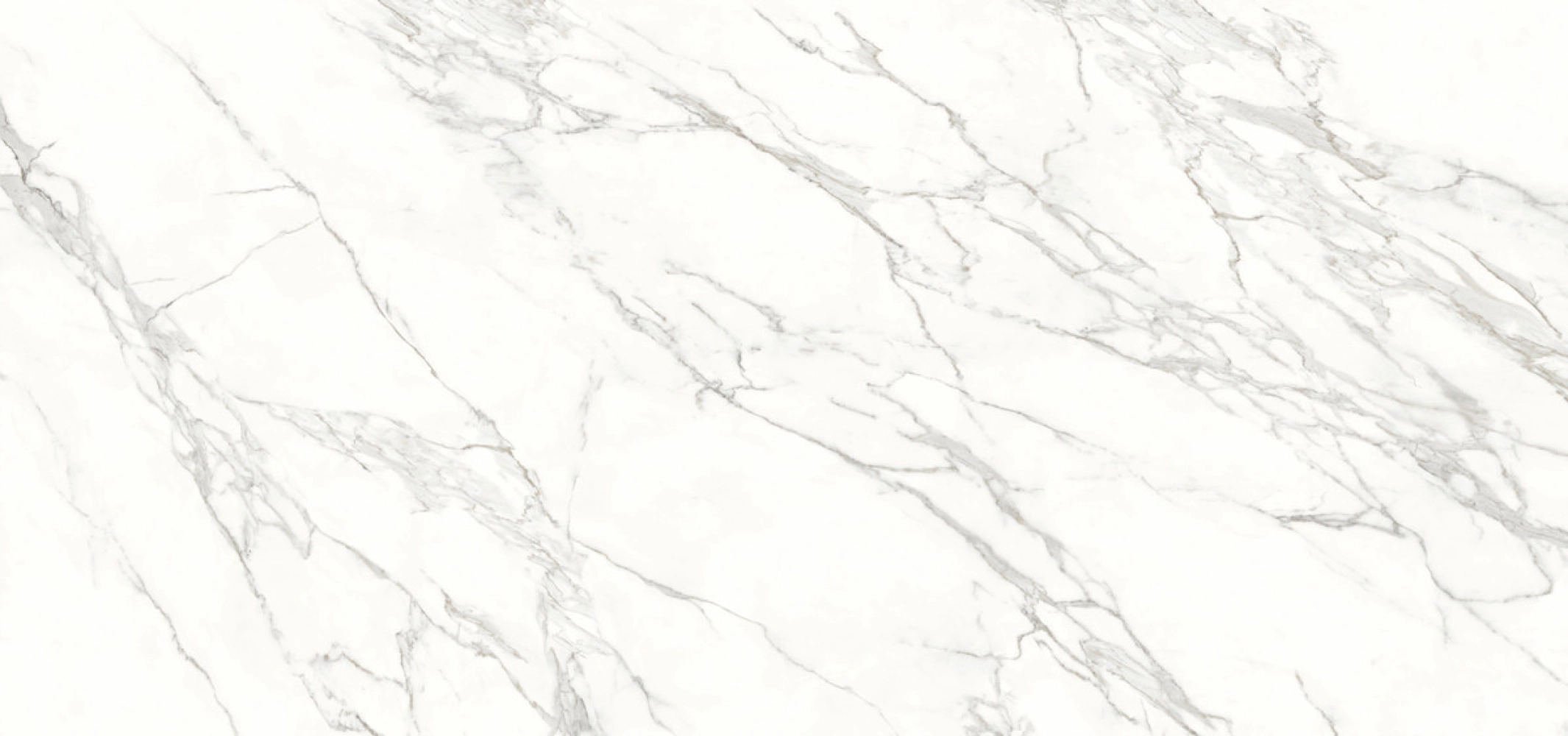 Calacatta Marble 