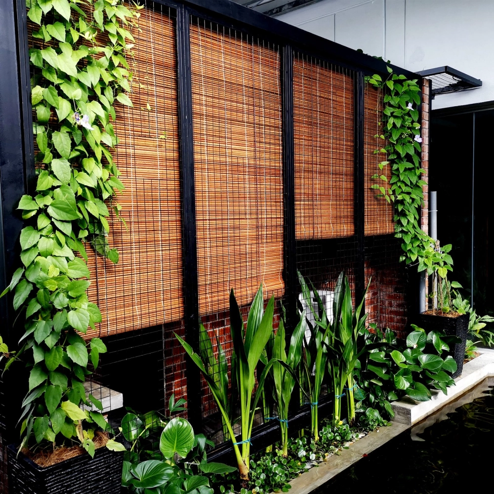 Outdoor Bamboo Blind