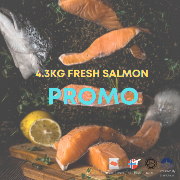 Fresh Salmon Whole Fish Fish Kuala Lumpur (KL), Malaysia, Selangor, Rawang Supplier, Wholesaler, Supply, Supplies | Starlicious Sdn Bhd