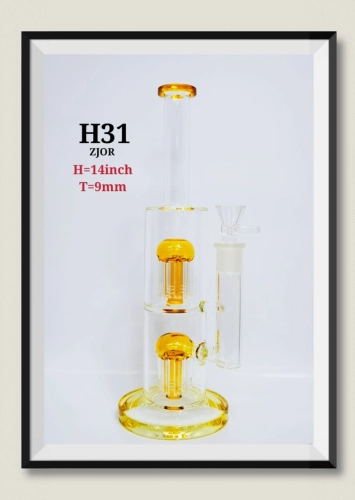 H31