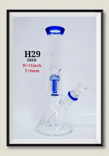 H29