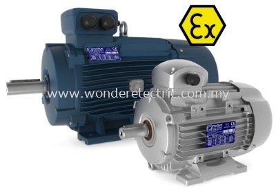 MOTIVE S.R.L ITALY - DELPHI EX Series Asynchronous Three-Phase Electric Motors