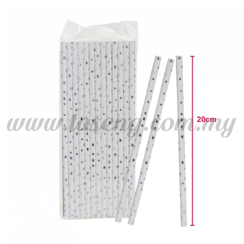 Paper Straw Star - Silver (P-SAW-9005SI)