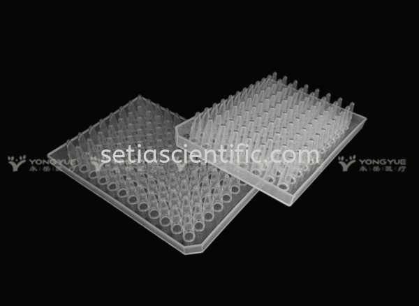0.2ml 96-Well PCR plate Half Skirt Transparent Clear, Non-Pyrogenic, DNase & RNase Free PCR Plate Lab Consumable Item Kuala Lumpur (KL), Malaysia, Selangor Supplier, Suppliers, Supply, Supplies | Setia Scientific Solution