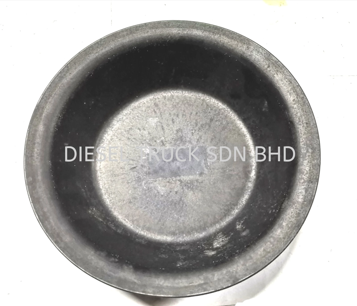 DIAPHRAGM TYPE 30 (HIGH) 00031