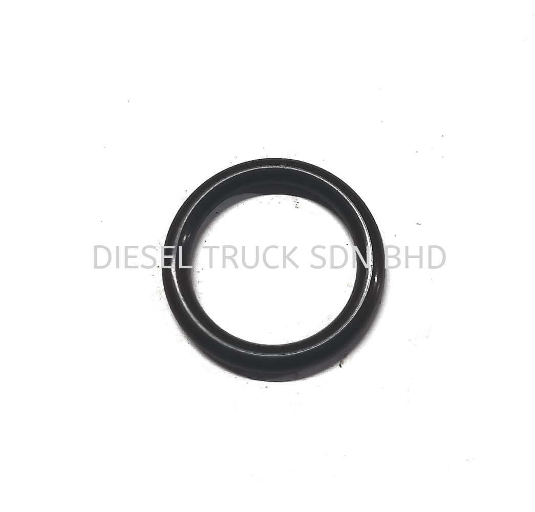 FUEL FITER OVERFLOW VALVE O-RING (LOW)(HPI) 1409095 