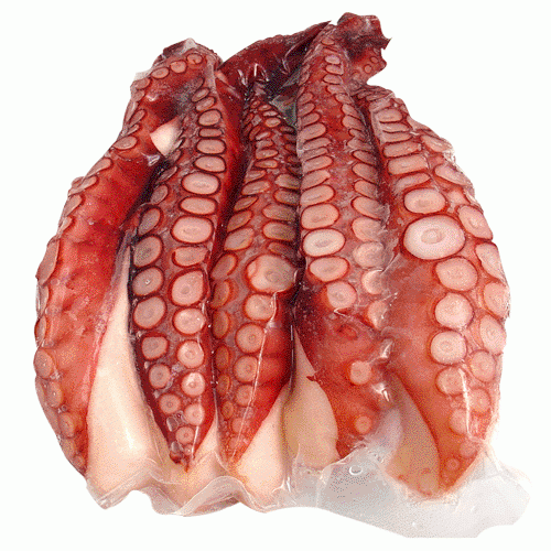 Boiled Octopus Leg / Ni Tako Leg (Halal Certified)    Supplier, Distributor, Importer, Exporter | Arco Marketing Pte Ltd