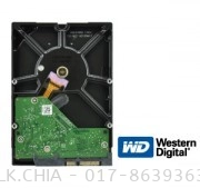 WESTERN DIGITAL SATA 2.0