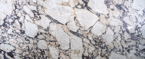 Calacatta Viola Marble 