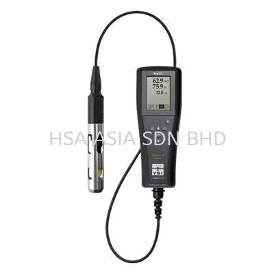 YSI Pro20i Dissolved Oxygen Meter 