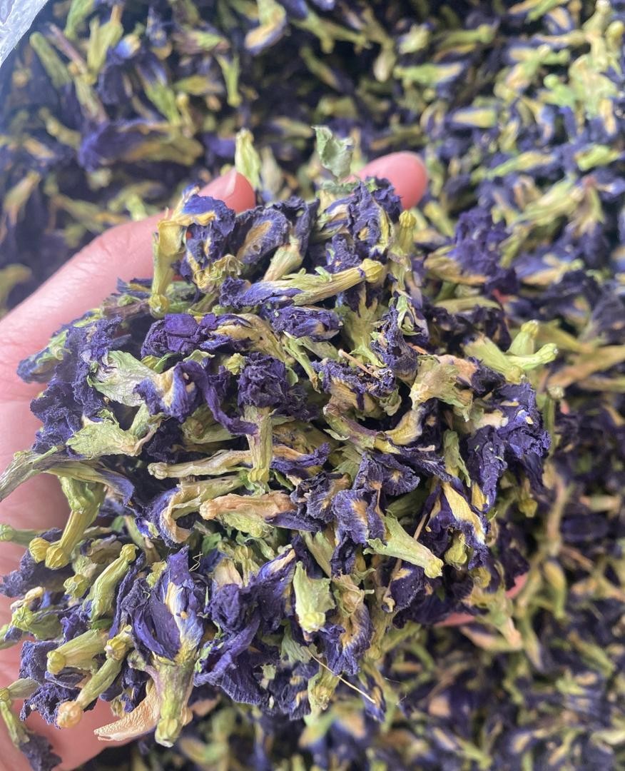 Dried butterfly pea flower - Daily fresh and smell great 