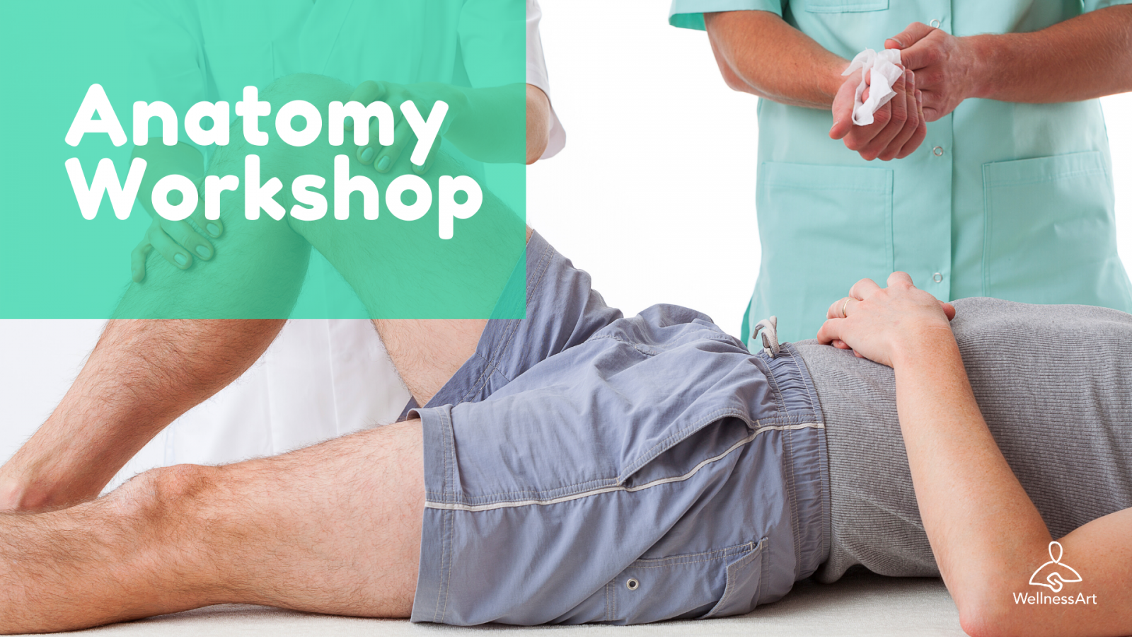 Anatomy Workshop