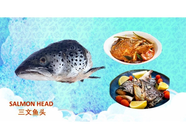 Salmon head Fishes Frozen Seafood Selangor, Malaysia, Kuala Lumpur (KL), Puchong Supplier, Suppliers, Supply, Supplies | SGT Frozen Foods Sdn Bhd