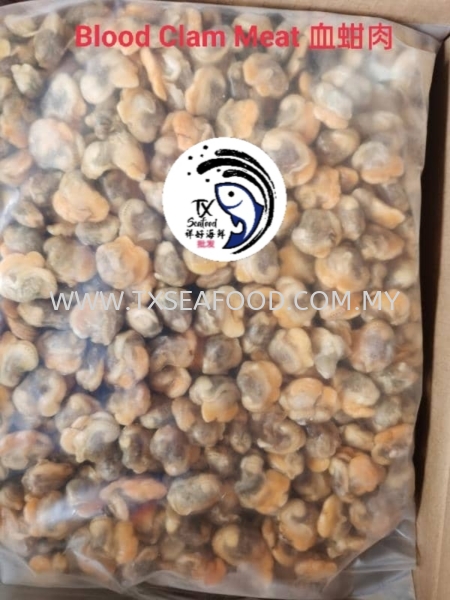 ISI KERANG (IQF) FROZEN SHELL Selangor, Klang, Malaysia, Kuala Lumpur (KL) Supplier, Suppliers, Supply, Supplies | TX SEAFOOD SDN. BHD.