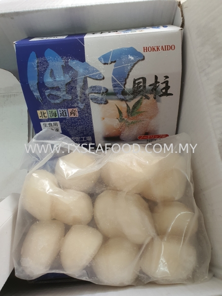 11/15 BIG SCALLOP MEAT (GRAD A) FROZEN SHELL Selangor, Klang, Malaysia, Kuala Lumpur (KL) Supplier, Suppliers, Supply, Supplies | TX SEAFOOD SDN. BHD.