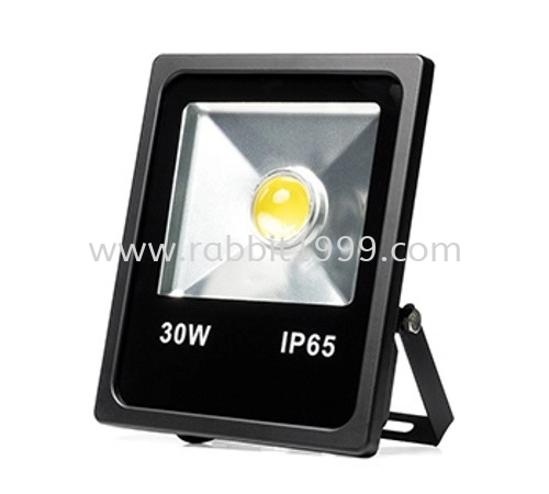 OSREN LED DETAILING LAMP - 30W