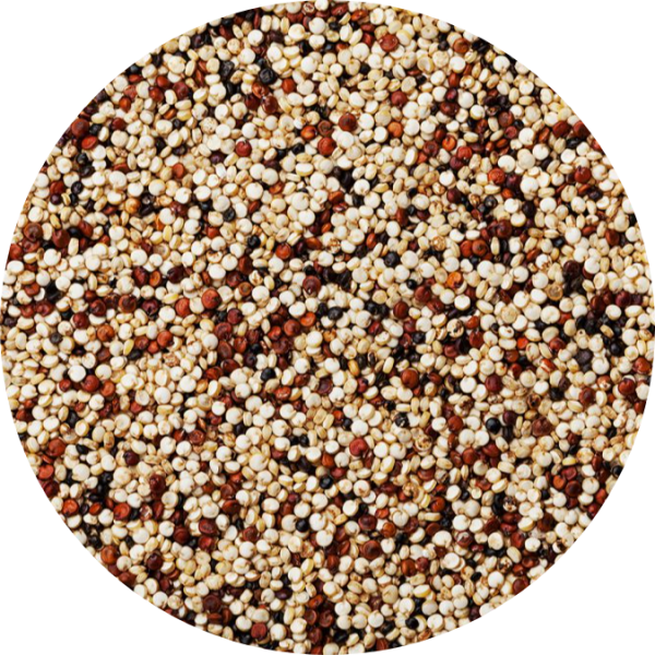 TRI QUINOA 1KG Cereal Penang, Malaysia, George Town Supplier, Wholesaler, Supply, Supplies | Hong Yap Trading Company