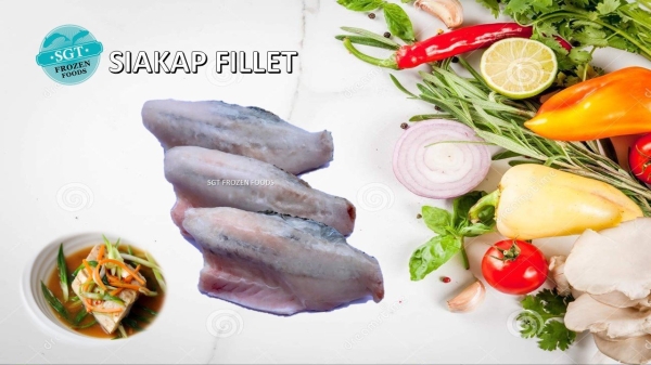 Siakap Fillet Fish fillets Ƭ Frozen Seafood Selangor, Malaysia, Kuala Lumpur (KL), Puchong Supplier, Suppliers, Supply, Supplies | SGT Frozen Foods Sdn Bhd