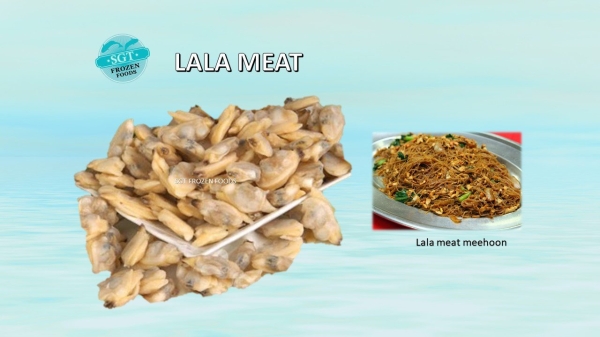 Lala Meat Others Frozen Seafood Selangor, Malaysia, Kuala Lumpur (KL), Puchong Supplier, Suppliers, Supply, Supplies | SGT Frozen Foods Sdn Bhd