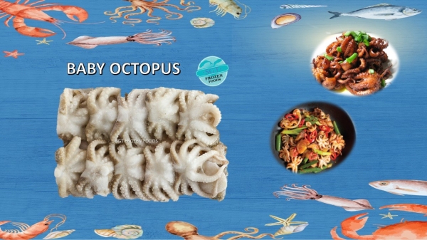 Baby Octopus Others Frozen Seafood Selangor, Malaysia, Kuala Lumpur (KL), Puchong Supplier, Suppliers, Supply, Supplies | SGT Frozen Foods Sdn Bhd