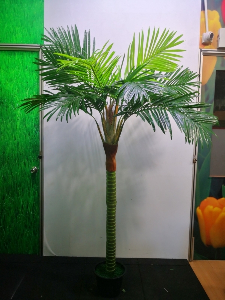 6ft Coconut Tree AP105 floristkl (Rent Available) Artificial Plant (Sell & Rent) Kuala Lumpur (KL), Selangor, Malaysia Supplier, Suppliers, Supply, Supplies | Shirley Florist