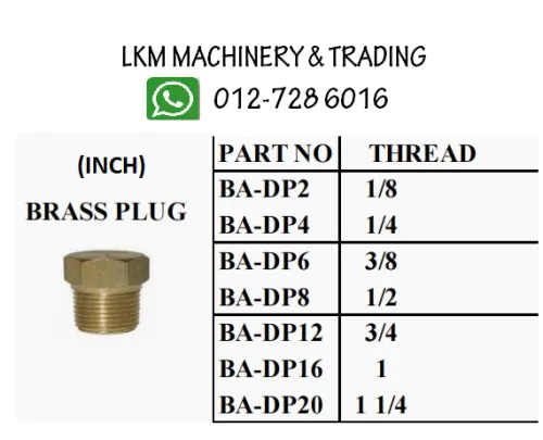 Brass Plug(Inch)