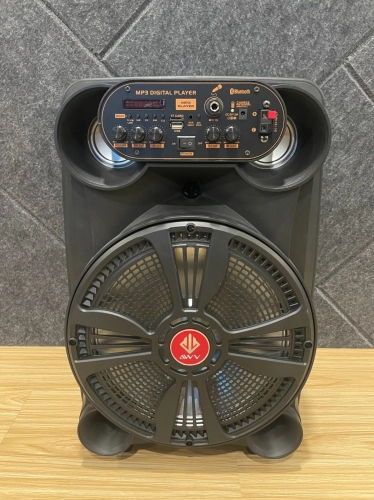 A/D/S TCM-15B Portable Speaker With 2 Wireless Mic