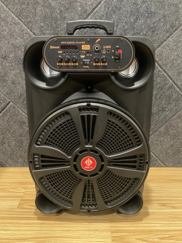 A/D/S TCM-12A 12Inch Portable Speaker With 2 Mic