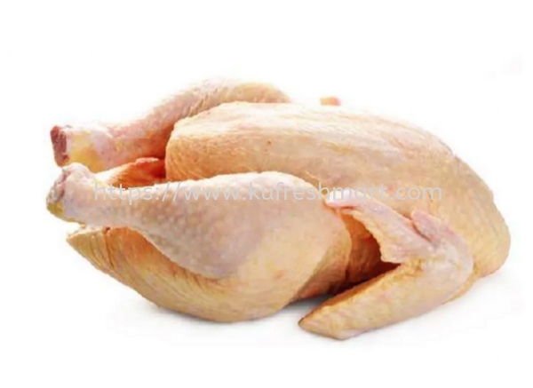 YELLOW CHICKEN Ƥ/԰ FRESH CHICKEN   Johor Bahru (JB), Malaysia, Skudai Supplier, Wholesaler, Supply, Supplies | KEDAI DAGING SEGAR AH KU SDN BHD