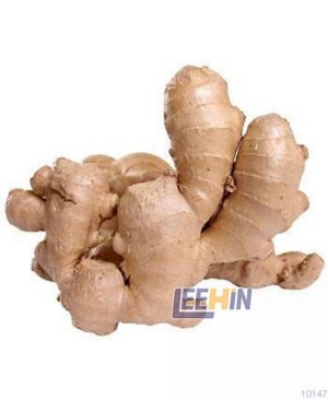 Halia Timbang 老姜  Ginger  [10147 10149]