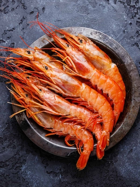 Cooked Prawn Size 31/40 (Head On, Shell On, Tail On) (1kg/box) Seafoods Singapore Supplier, Distributor, Importer, Exporter | Arco Marketing Pte Ltd