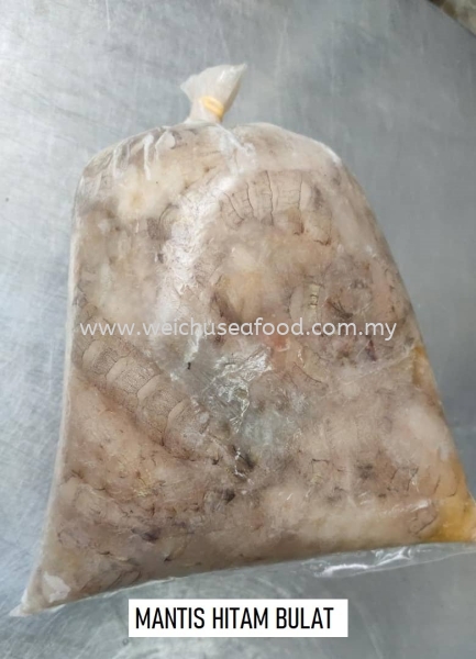 Mantis Hitam Bulat Frozen Mantis  Selangor, Malaysia, Kuala Lumpur (KL), Klang Supplier, Suppliers, Supply, Supplies | Wei Chu Seafood Supply Trading Sdn Bhd