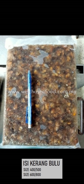 Isi Kerang Bulu (Size:400/500,600/800) Frozen Clam Selangor, Malaysia, Kuala Lumpur (KL), Klang Supplier, Suppliers, Supply, Supplies | Wei Chu Seafood Supply Trading Sdn Bhd