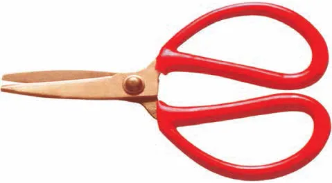 Safety Scissors